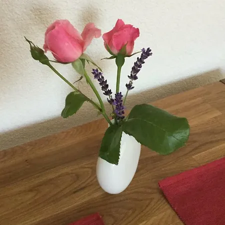 Ferienwohnung Bei Heike & Dirk Kassel